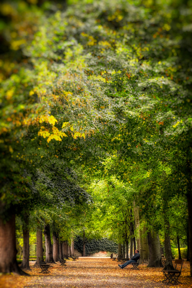 E8 A9291 20x30 Crop Photography Art | Michael Malandra Fine Art & Photography