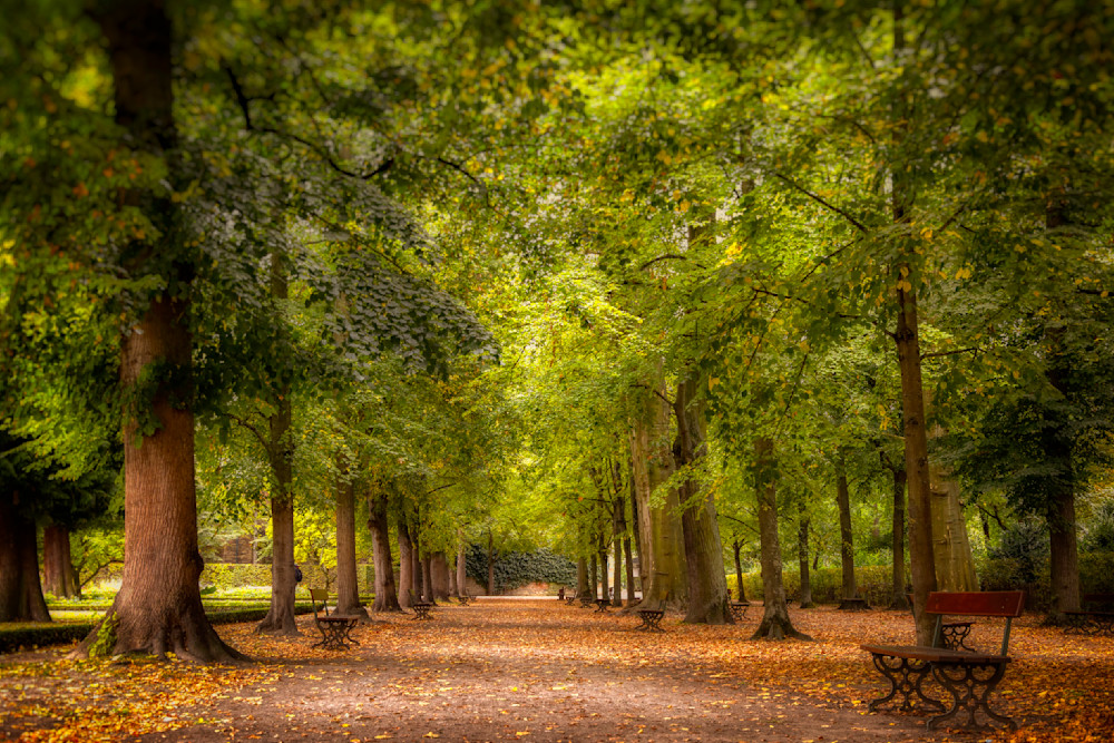 E8 A9307 20x30 Crop Photography Art | Michael Malandra Fine Art & Photography