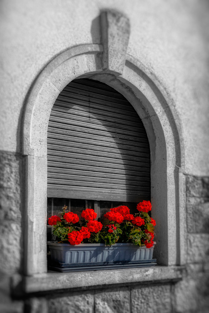 E8 A9522 20x30 Crop Photography Art | Michael Malandra Fine Art & Photography