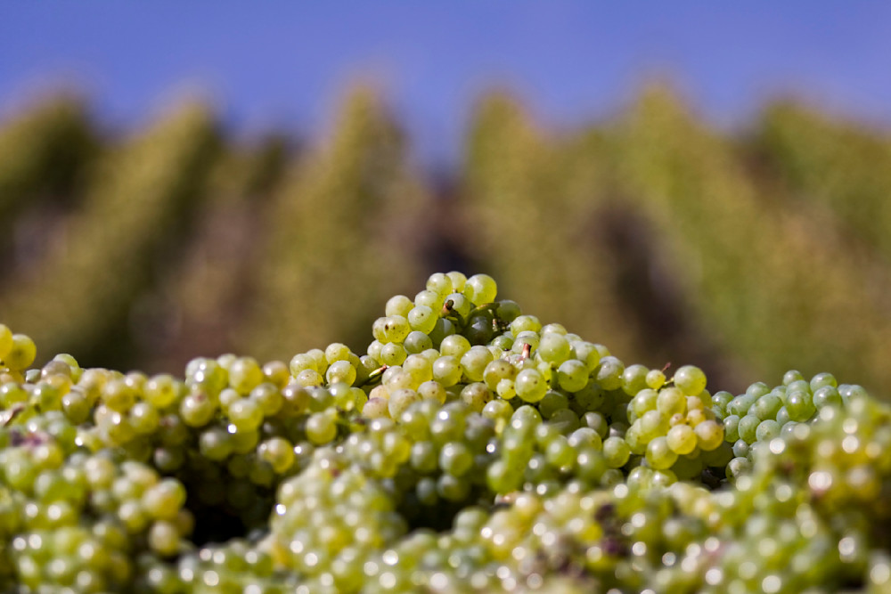 Mg 6439 Edited 1223 20x30 Crop Photography Art | Michael Malandra Fine Art & Photography