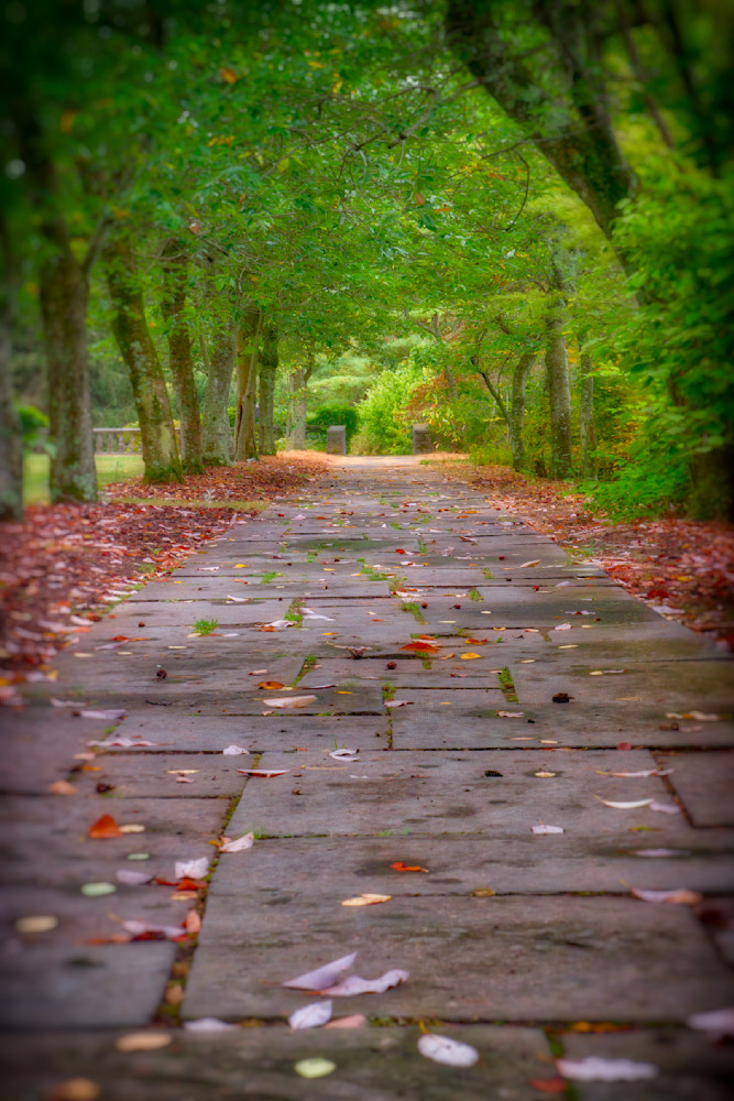 Mg 4976 Edited 1123 20x30 Crop Photography Art | Michael Malandra Fine Art & Photography