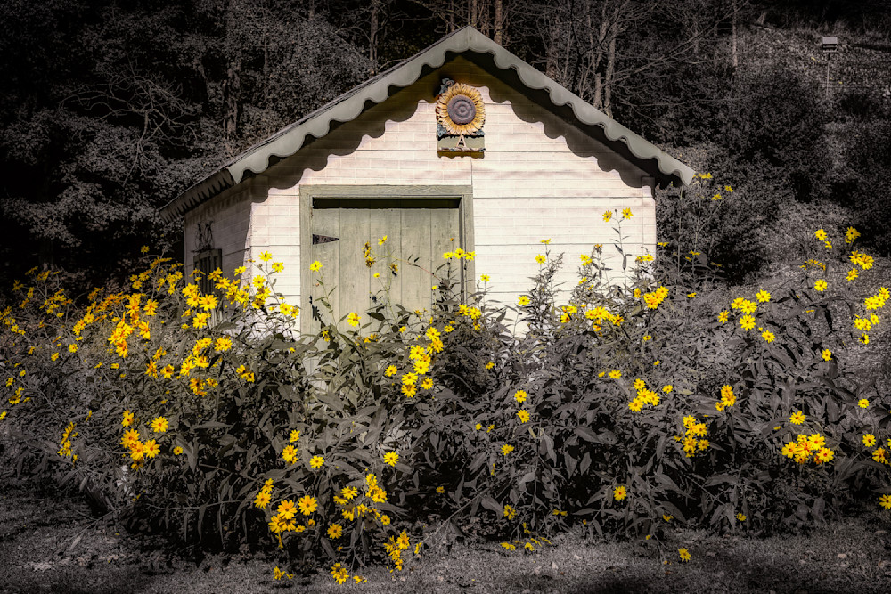 E8 A8521 Edited Bw 1223 20x30 Crop Photography Art | Michael Malandra Fine Art & Photography