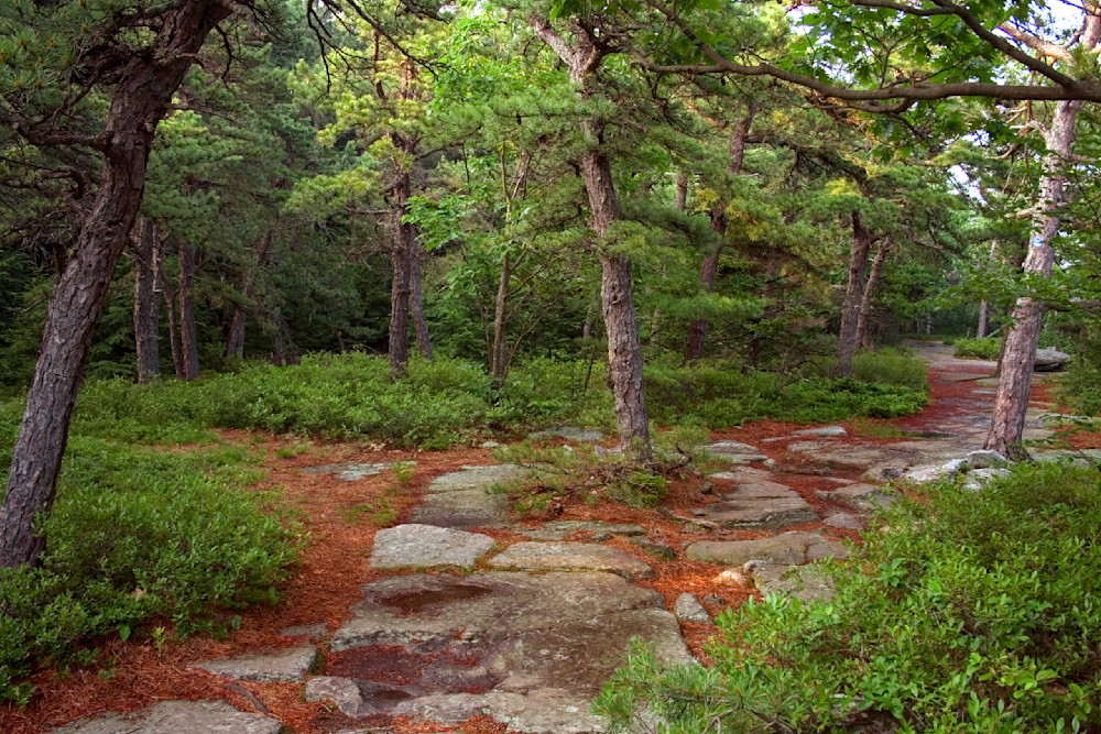 Mg 6188 20x30 Crop Photography Art | Michael Malandra Fine Art & Photography