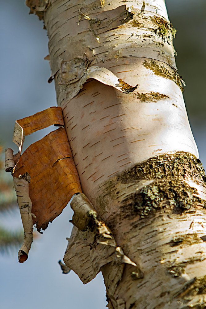 Img 0388 Edited 1223 20x30 Crop Photography Art | Michael Malandra Fine Art & Photography