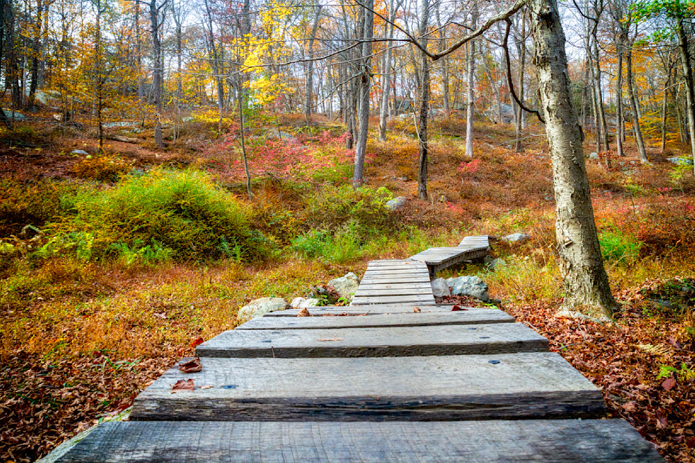 Mg 8041 Edited 1223 20x30 Crop Photography Art | Michael Malandra Fine Art & Photography