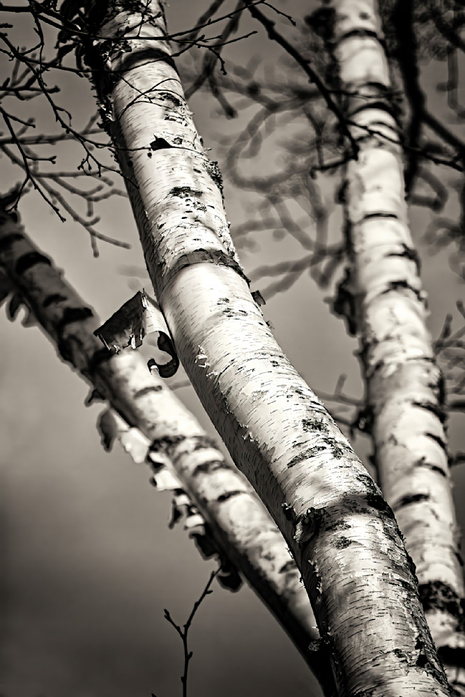 Img 0394 Edited 1223 20x30 Crop Photography Art | Michael Malandra Fine Art & Photography