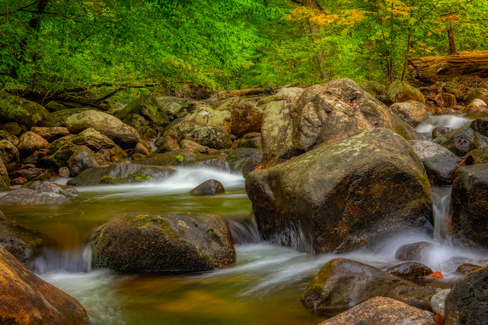 E8 A8469 Edited 1223 20x30 Crop Photography Art | Michael Malandra Fine Art & Photography