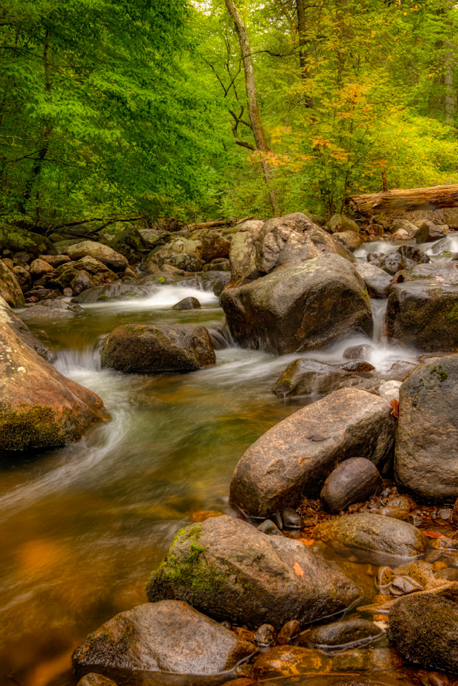 E8 A8474 Edited 1223 20x30 Crop Photography Art | Michael Malandra Fine Art & Photography