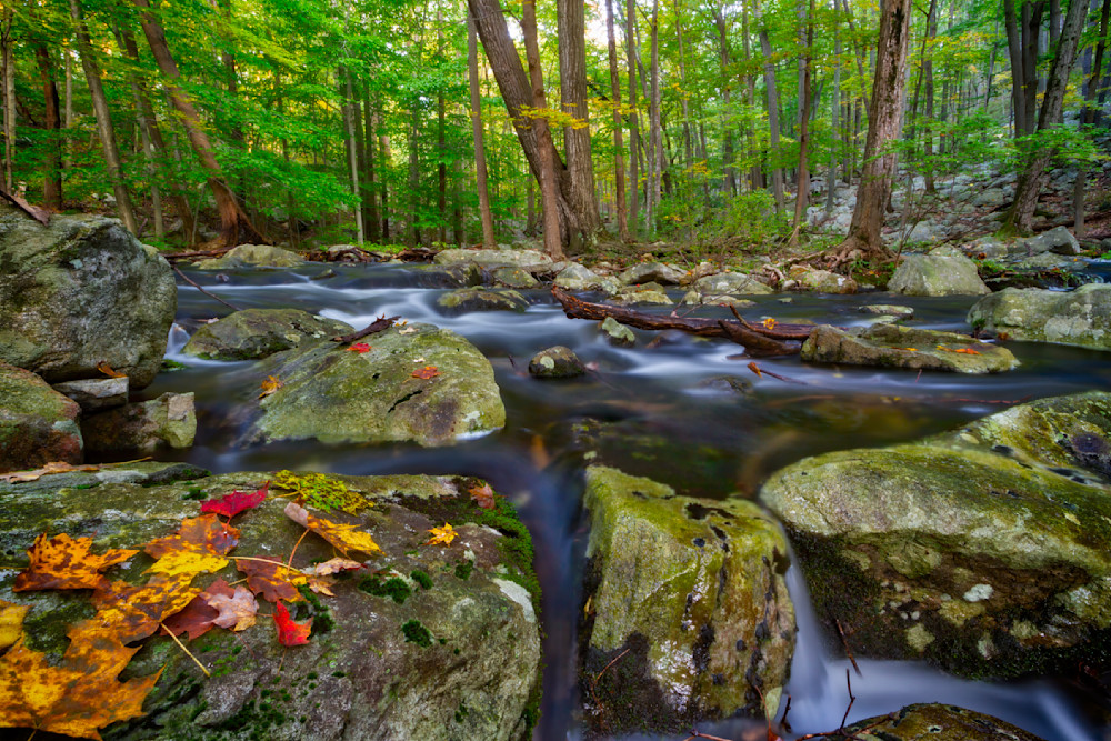 Mg 0168 Edited 1223 20x30 Crop Photography Art | Michael Malandra Fine Art & Photography