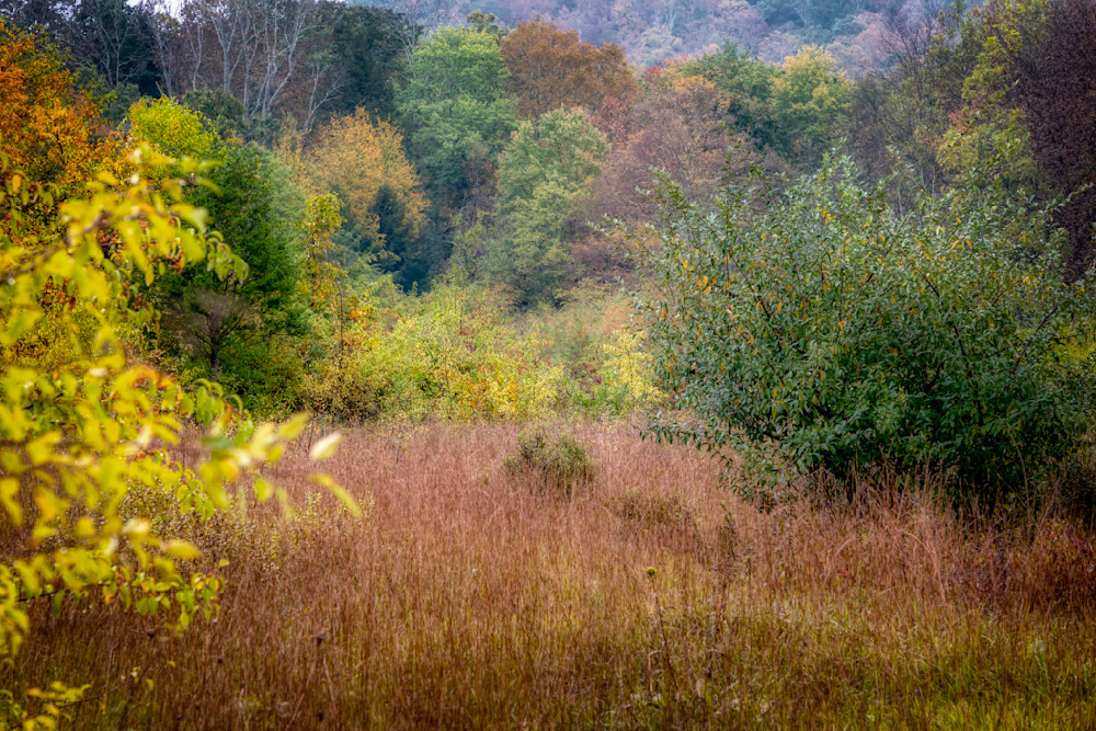 E8 A9945 Edited 0124 20x30 Crop Photography Art | Michael Malandra Fine Art & Photography