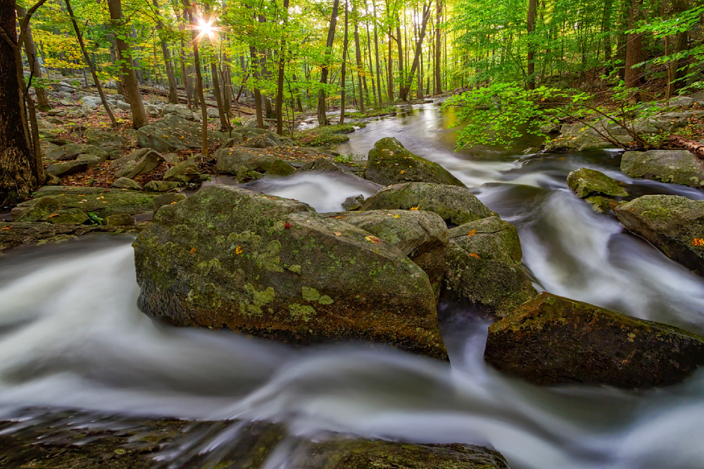 Mg 0181 Edited 1223 20x30 Crop Photography Art | Michael Malandra Fine Art & Photography