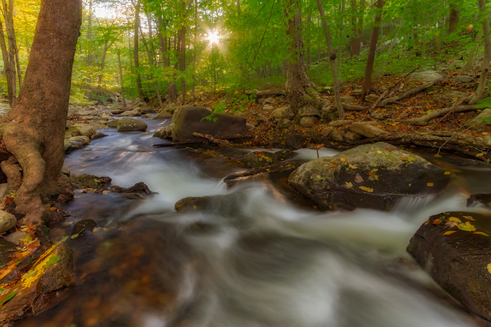 Mg 0310 Edited 1223 20x30 Crop Photography Art | Michael Malandra Fine Art & Photography