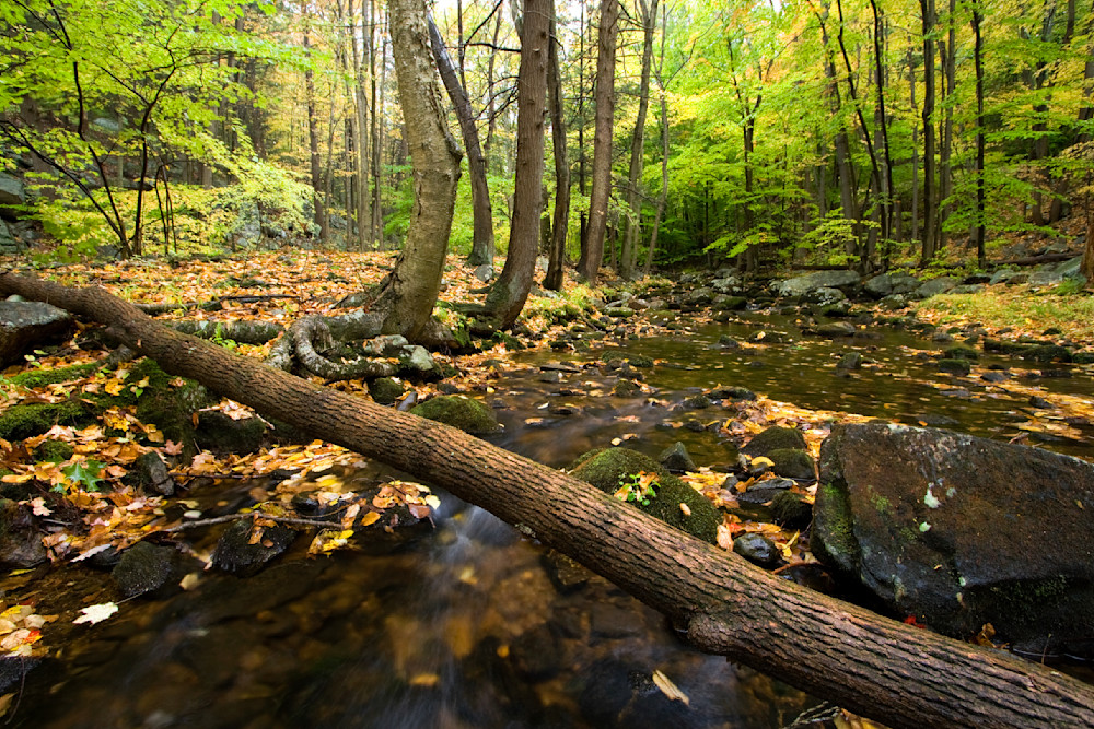 Mg 1825 Edited 1223 20x30 Crop Photography Art | Michael Malandra Fine Art & Photography