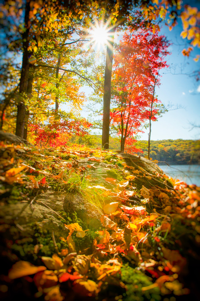 Mg 2158 Edited 1223 20x30 Crop Photography Art | Michael Malandra Fine Art & Photography