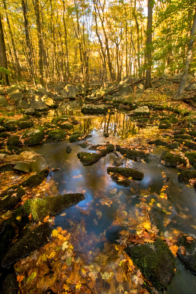 Mg 2078 Edited 1223 20x30 Crop Photography Art | Michael Malandra Fine Art & Photography