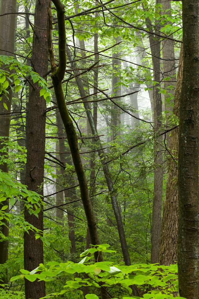 Mg 1471 Edited 1223 20x30 Crop Photography Art | Michael Malandra Fine Art & Photography