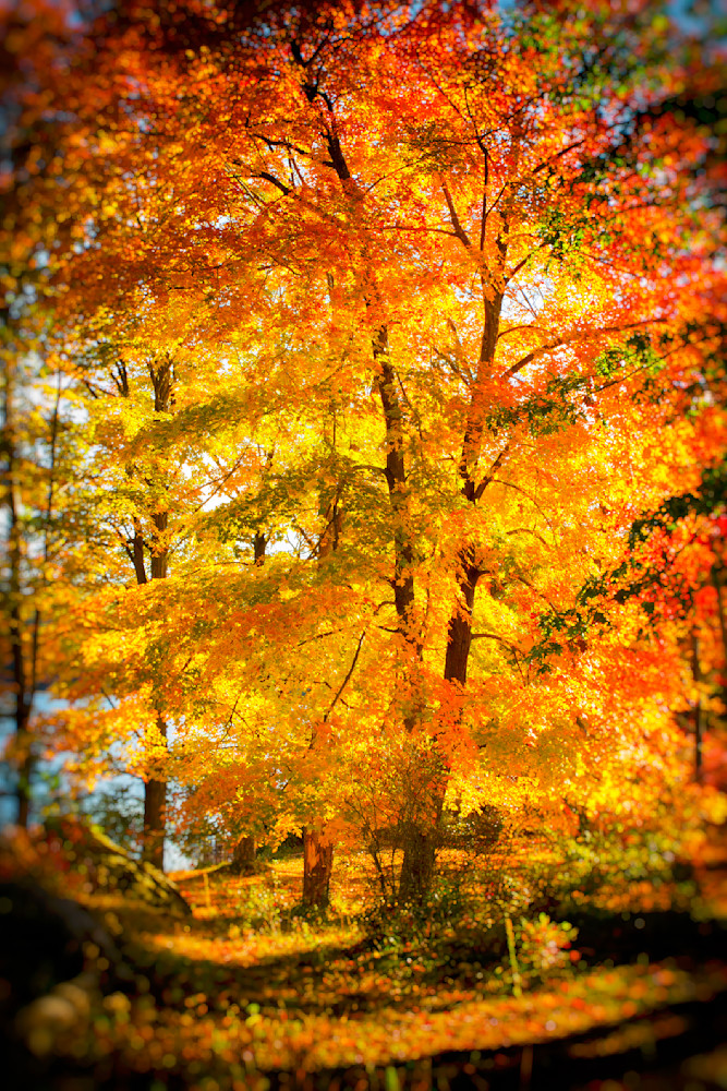 Mg 2128 Edited 1223 20x30 Crop Photography Art | Michael Malandra Fine Art & Photography