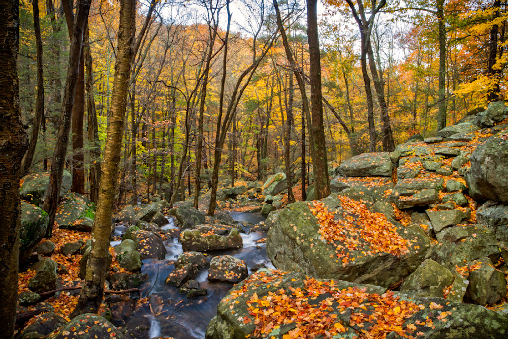 Mg 2369 Edited 1223 20x30 Crop Photography Art | Michael Malandra Fine Art & Photography