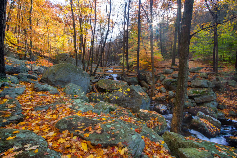 Mg 2401 Edited 1223 20x30 Crop Photography Art | Michael Malandra Fine Art & Photography