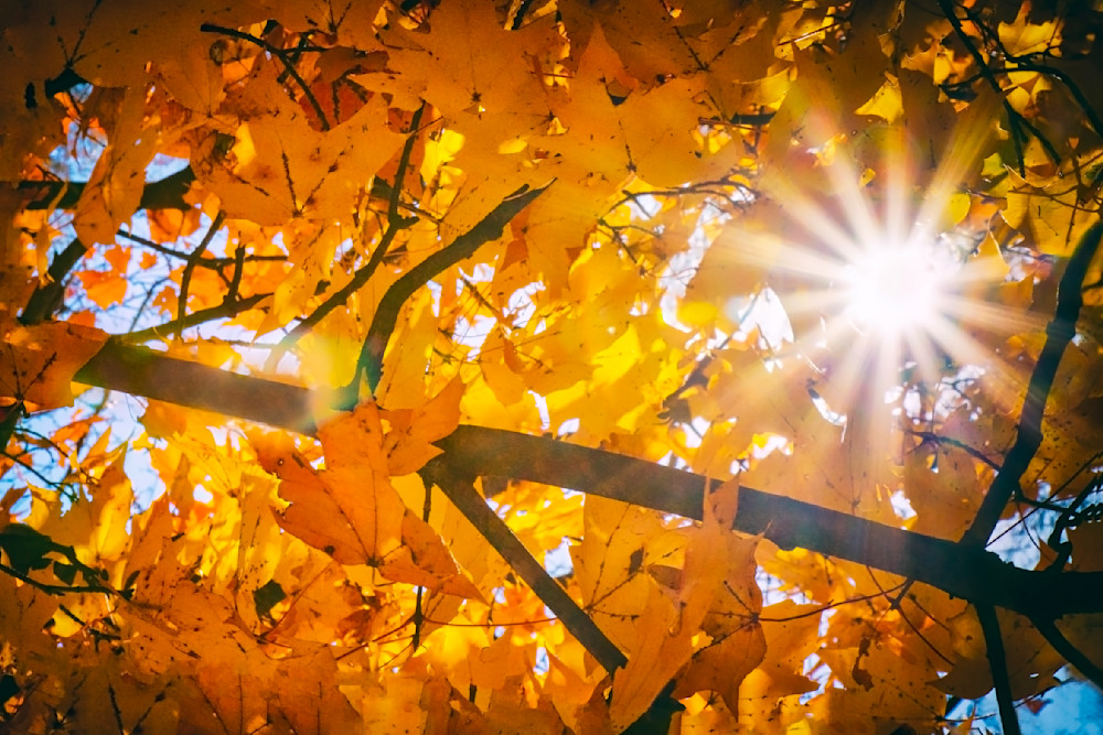 Mg 3182 Edited 1223 20x30 Crop Photography Art | Michael Malandra Fine Art & Photography