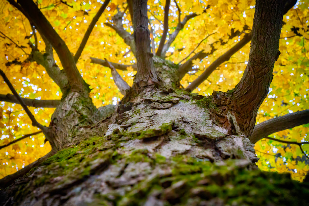 Mg 4812 Edited 1223 20x30 Crop Photography Art | Michael Malandra Fine Art & Photography