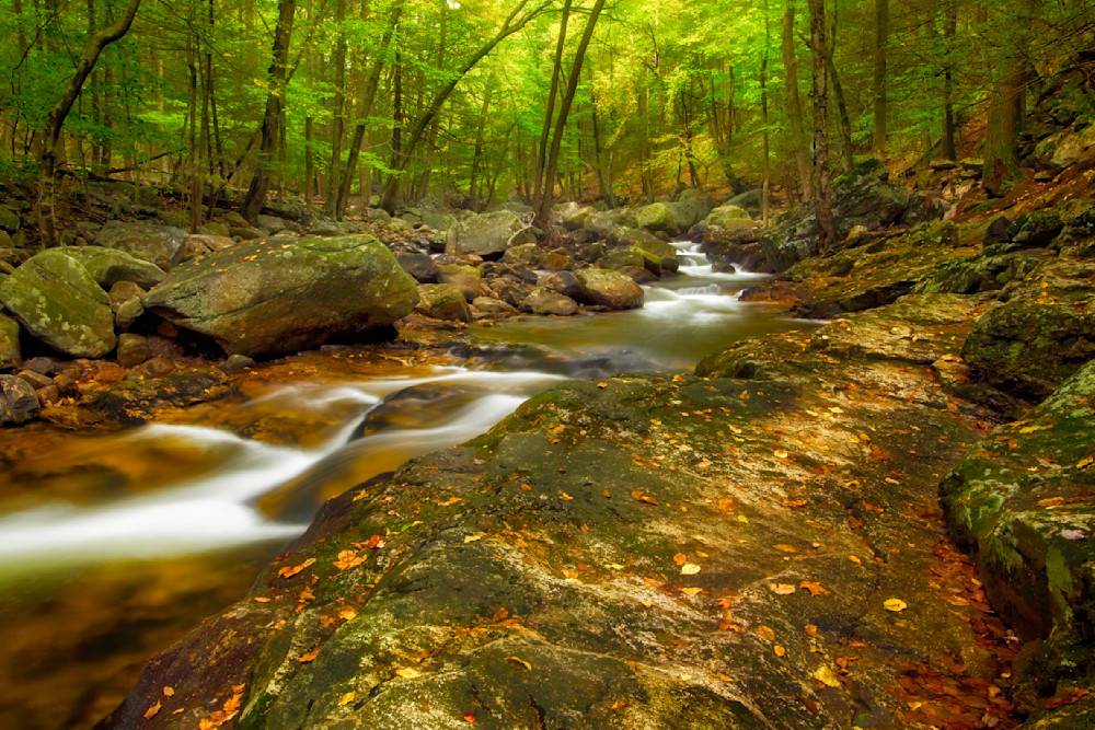 Mg 5431 Edited 20x30 Crop Photography Art | Michael Malandra Fine Art & Photography