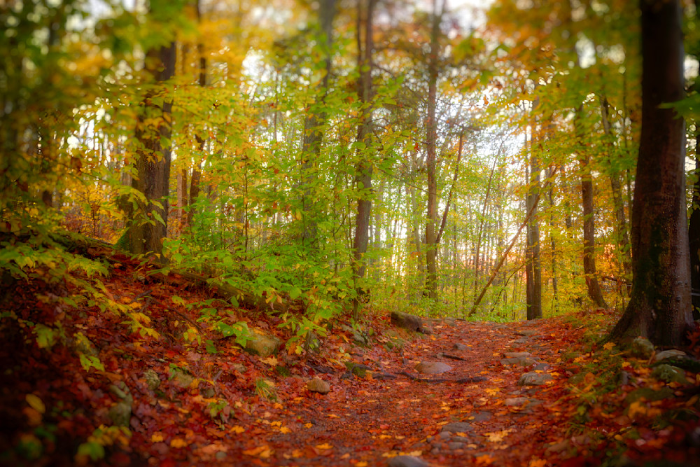 Mg 5549 Edited 1223 20x30 Crop Photography Art | Michael Malandra Fine Art & Photography