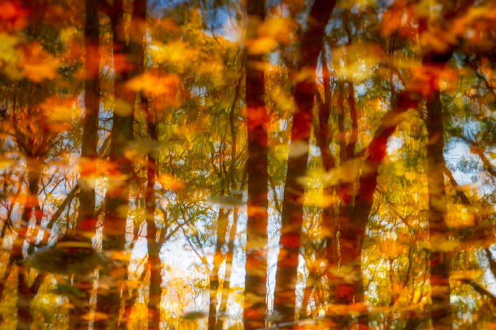 Mg 5621 Edited 1223 20x30 Crop Photography Art | Michael Malandra Fine Art & Photography