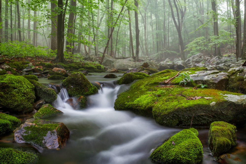 Mg 9127 Edited 1223 20x30 Crop Photography Art | Michael Malandra Fine Art & Photography