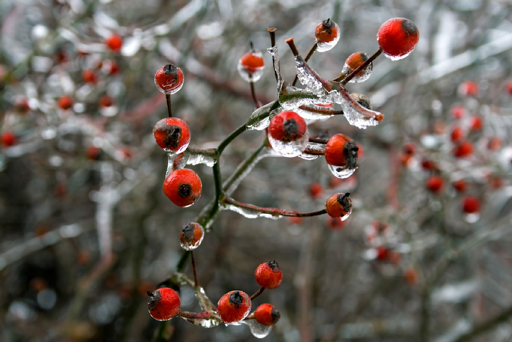 Mg 8155 Edited 1223 20x30 Crop Photography Art | Michael Malandra Fine Art & Photography