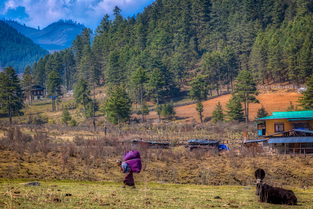 E8 A2251 Edited 2 0425 20x30 Crop Photography Art | Michael Malandra Fine Art & Photography