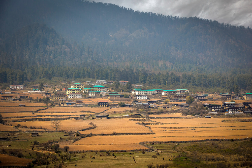 E8 A2664 Edited 20x30 Crop Photography Art | Michael Malandra Fine Art & Photography