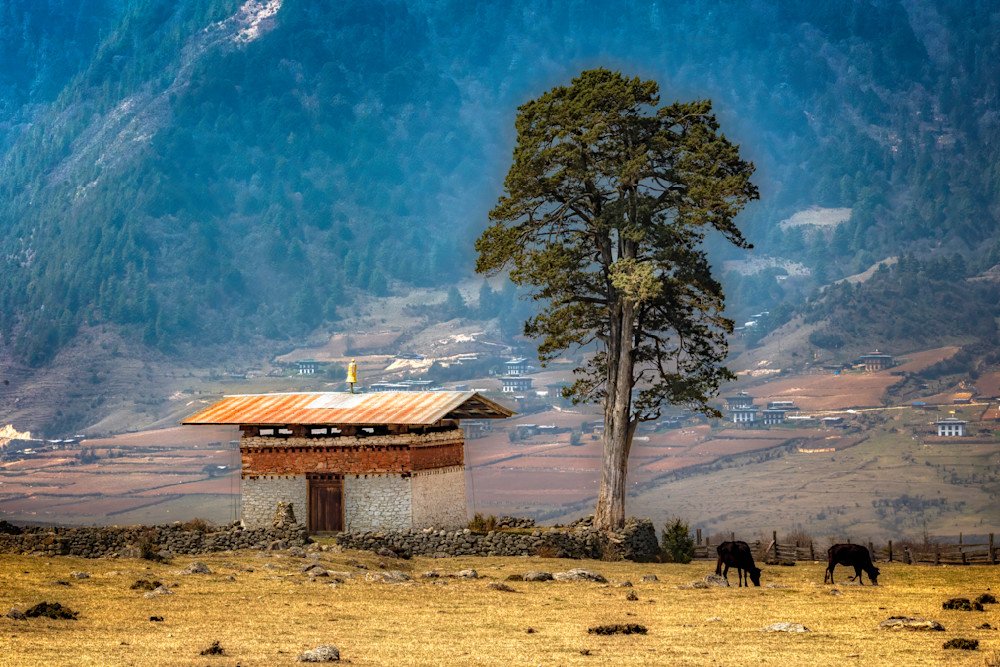 E8 A2861 Edited 0425 20x30 Crop Photography Art | Michael Malandra Fine Art & Photography