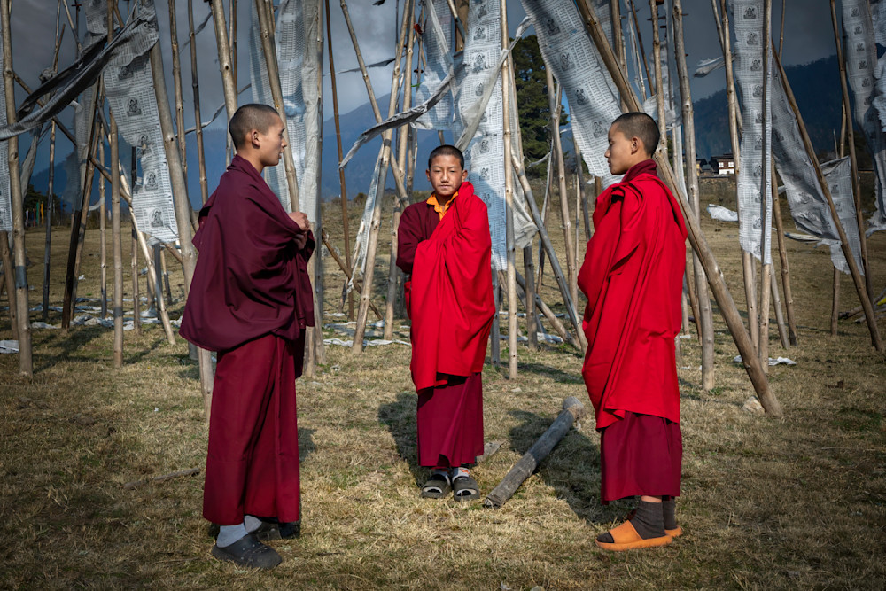 E8 A3162 Edited 0525 20x30 Crop Photography Art | Michael Malandra Fine Art & Photography