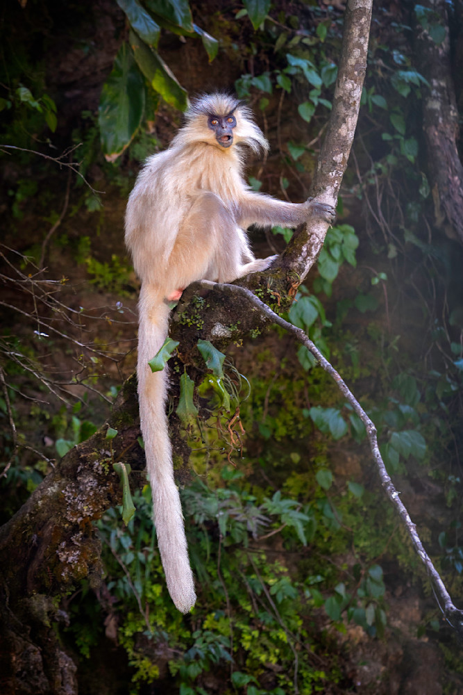 E8 A3645 Edited 0425 20x30 Crop Photography Art | Michael Malandra Fine Art & Photography