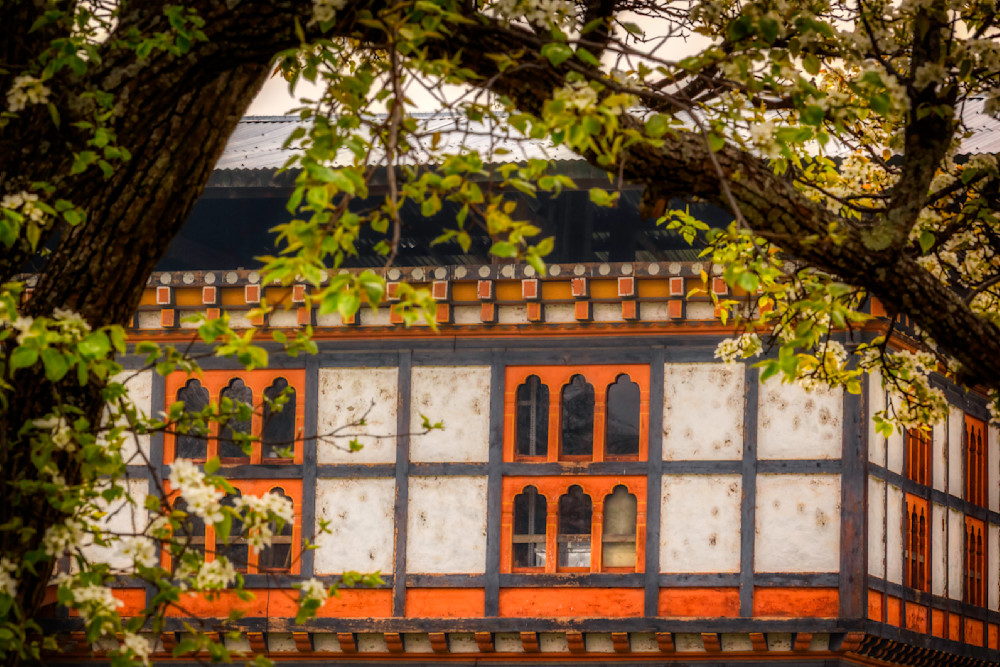 E8 A3813 Edited 0425 20x30 Crop Photography Art | Michael Malandra Fine Art & Photography