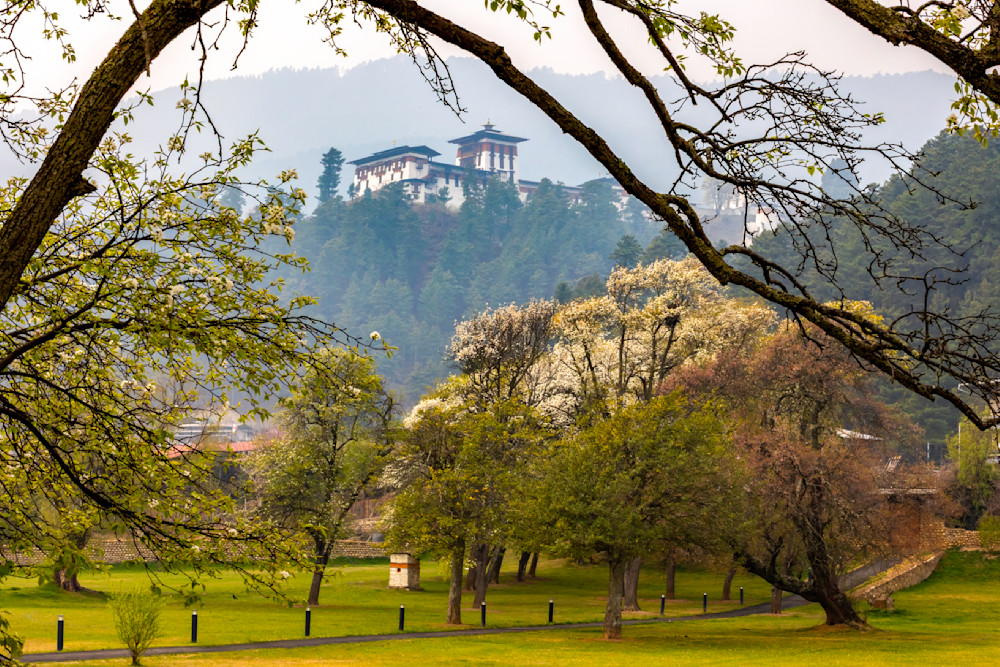 E8 A3779 Edited 0425 20x30 Crop Photography Art | Michael Malandra Fine Art & Photography