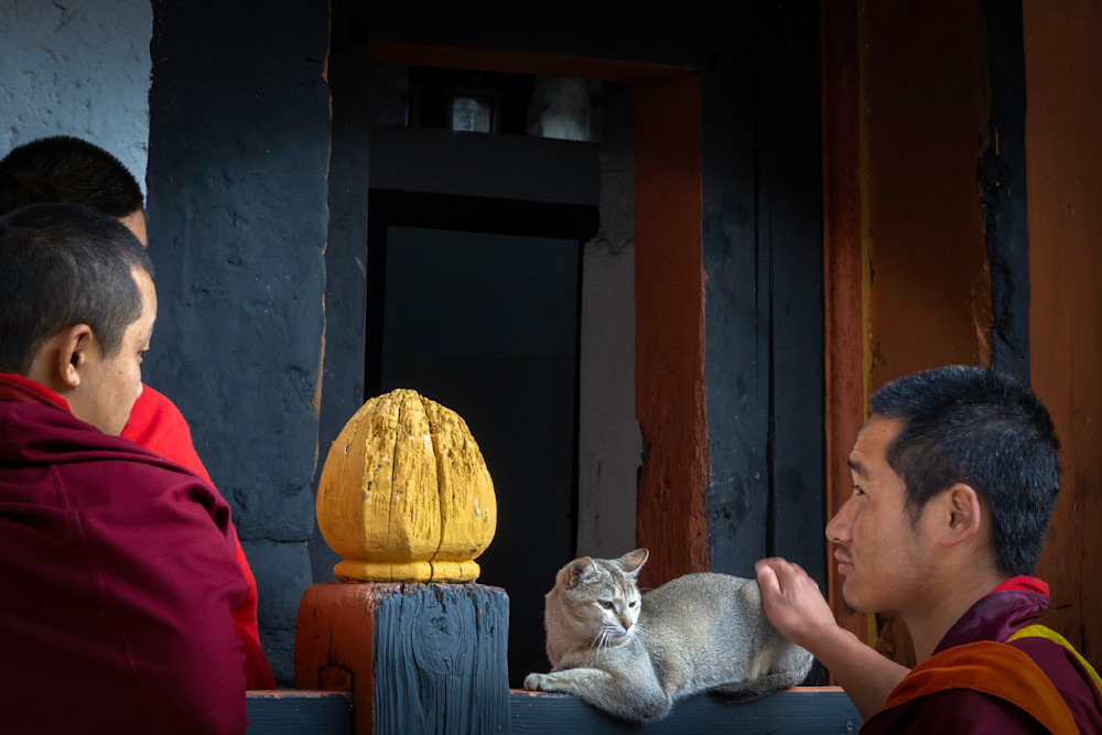 E8 A4125 Edited 0525 20x30 Crop Photography Art | Michael Malandra Fine Art & Photography