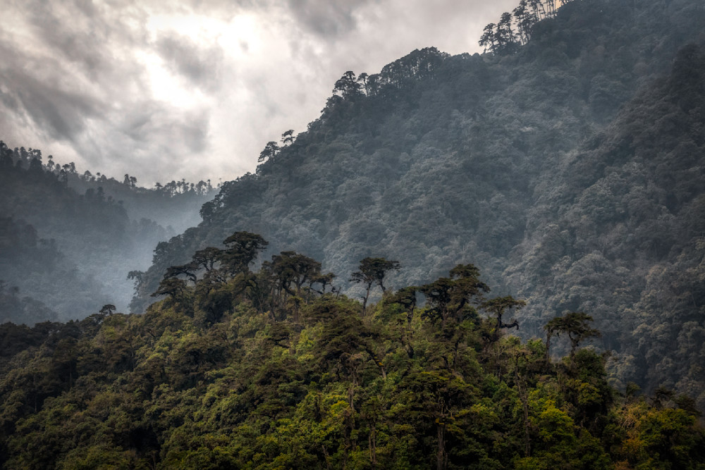 E8 A5016 Edited 0525 20x30 Crop Photography Art | Michael Malandra Fine Art & Photography