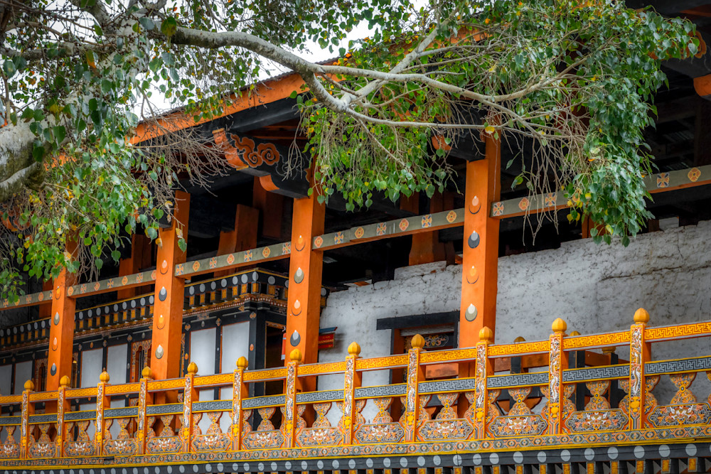 E8 A5675 Edited 0525 20x30 Crop Photography Art | Michael Malandra Fine Art & Photography