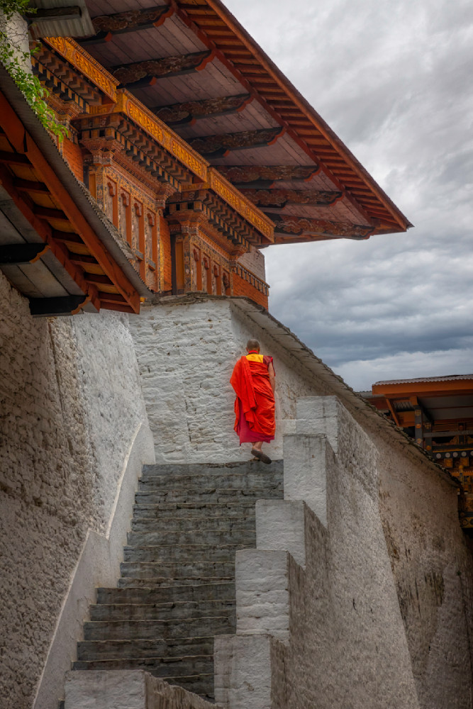 E8 A5737 Edited 0425 20x30 Crop Photography Art | Michael Malandra Fine Art & Photography