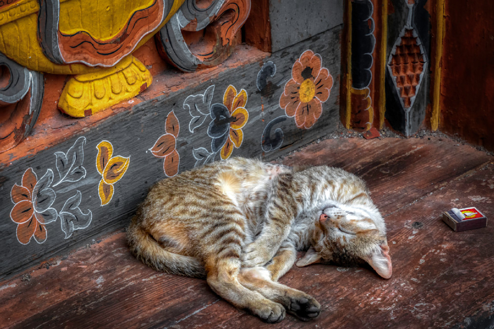 E8 A5750 Edited 0525 20x30 Crop Photography Art | Michael Malandra Fine Art & Photography