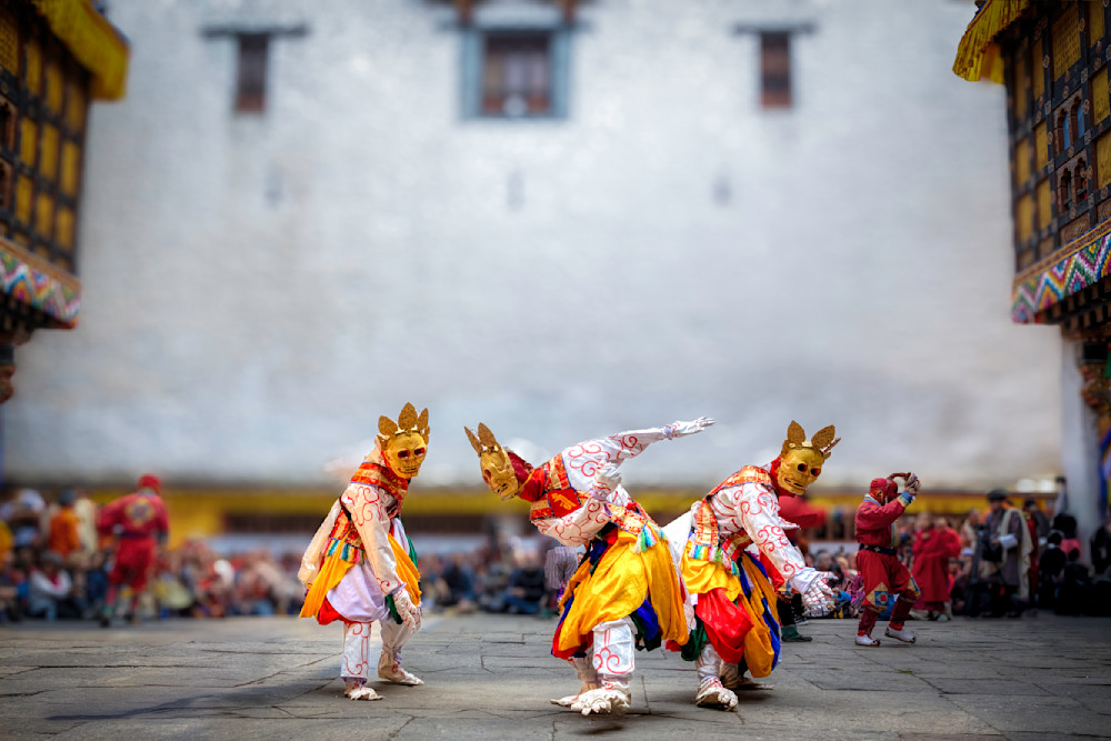 E8 A6317 Edited 0525 1 20x30 Crop Photography Art | Michael Malandra Fine Art & Photography