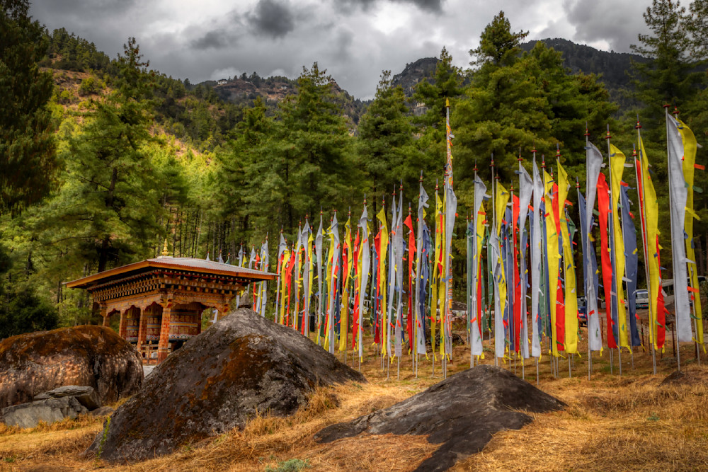 E8 A9044 Edited 0425 20x30 Crop Photography Art | Michael Malandra Fine Art & Photography