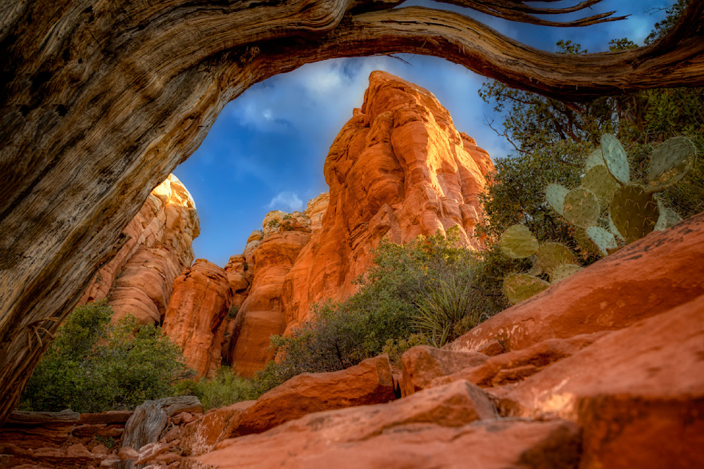 E8 A3375 Edited 20x30 Crop Photography Art | Michael Malandra Fine Art & Photography