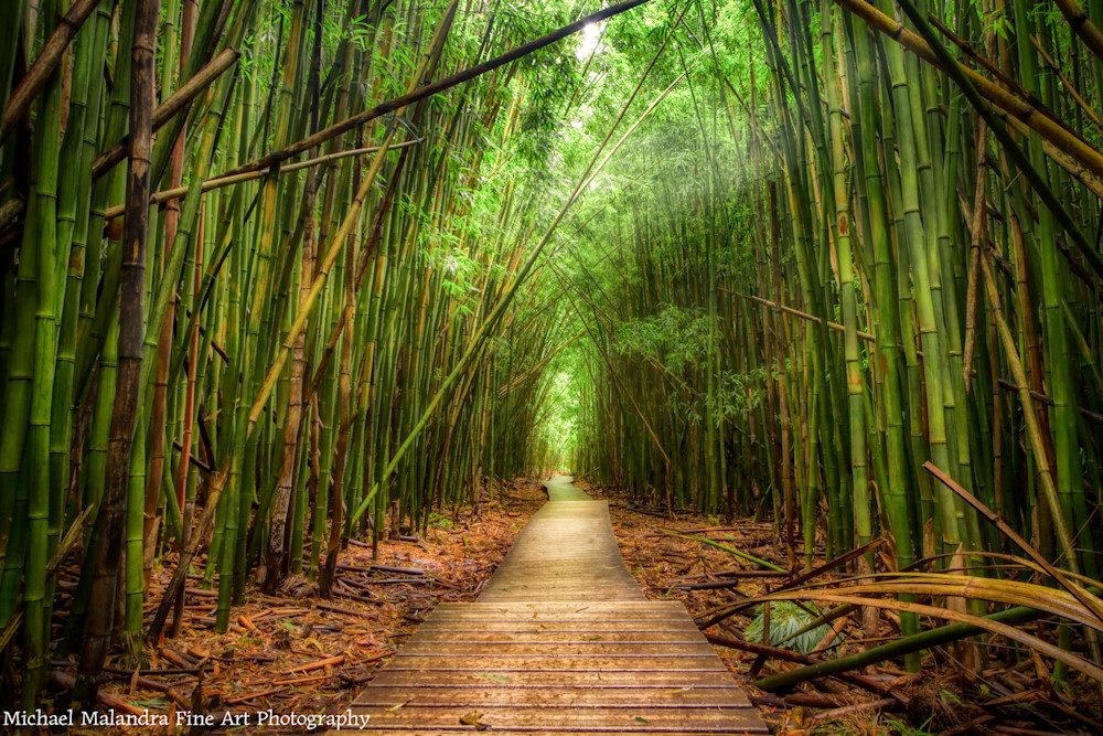 Mg 3519 Edited 0125 Wr Photography Art | Michael Malandra Fine Art & Photography