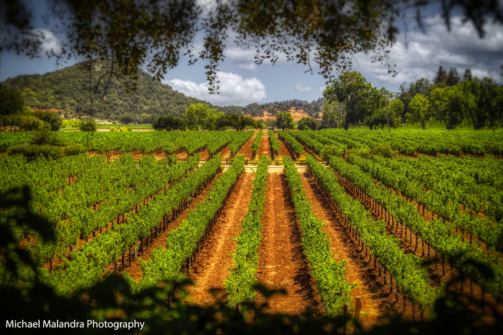 Mg 7930 Edited 1024 Wr Photography Art | Michael Malandra Fine Art & Photography