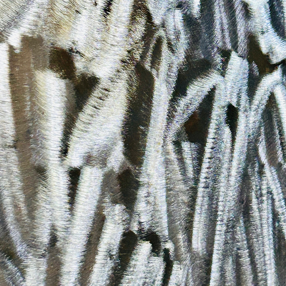 Img 1299 Photography Art | Heather Loftes Photography