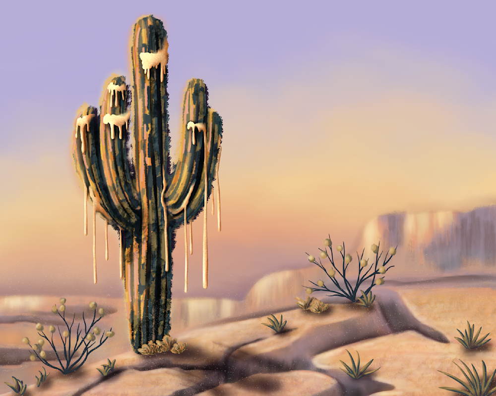 Where the Light Lingers - Southwest Desert Art Print
