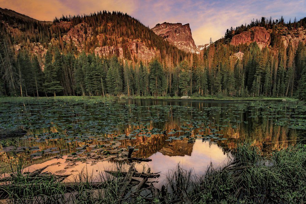 Dawn at Nymph Lake - Colorado Landscape Photography